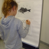 chin.-Tuschmalerei-10