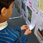 wp_20161118_08_38_39_pro